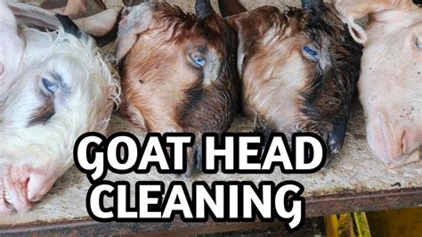 Goat Head Cutting And Cleaning For Curry Youtube