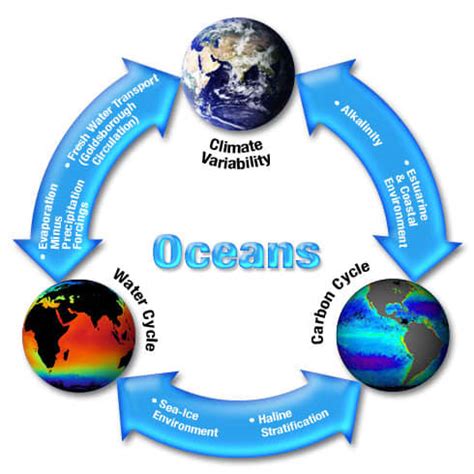 What Are the Steps of the Water Cycle? - Owlcation