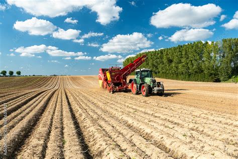 Arrachage De Pomme De Terre Tracteur Fendt Et Arracheuse Grimme Stock