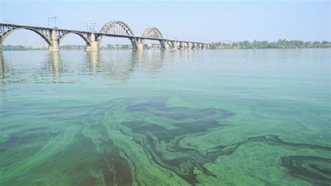 грязная вода