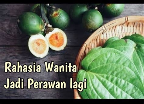 Wajib Tahu Inilah 6 Manfaat Buah Pinang Muda Untuk Wanita Bisa Untuk