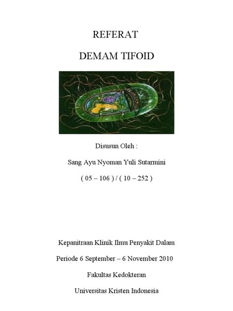 Demam Tifoid