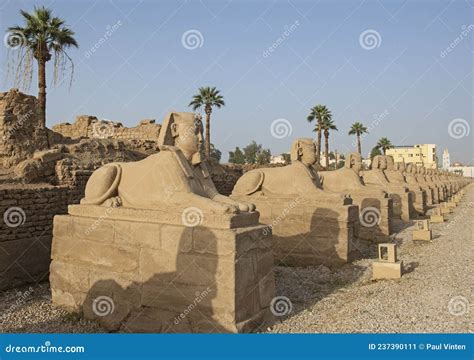 Avenue Of Sphinxes At Entrance To Ancient Egyptian Temple Of Luxor