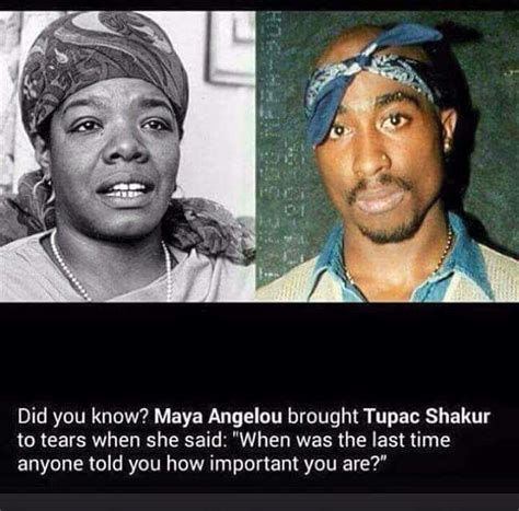 Afeni Shakur Quotes - ShortQuotes.cc