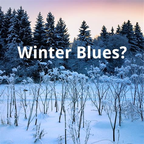 Immune Support: Winter Blues Got You Down?