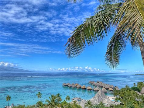 Things to do on Moorea Island