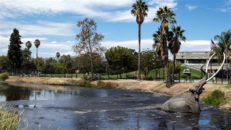 La Brea Tar Pits - Scrawl Place