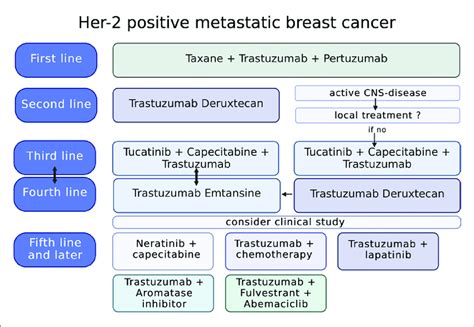 Current Treatment Approaches For Her2 Positive Metastatic Breast Cancer