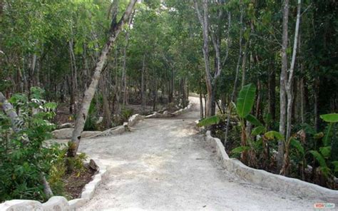 Terreno En Venta Kuyabeh Tulum Caribbean Real Estate