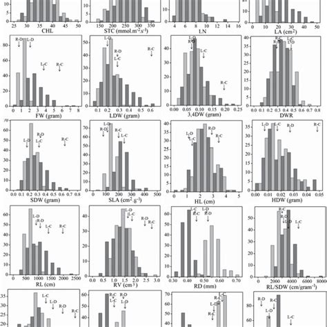 PDF Genotypeenvironment Interactions Affecting Preflowering