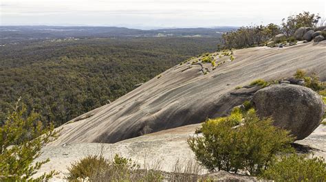 Bald Rock Campground Bald Rock National Park Campground Review