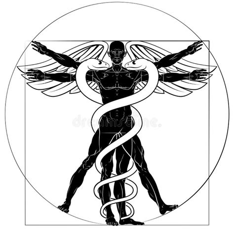 Vitruvian Man Drawing Stock Illustrations – 503 Vitruvian Man Drawing ...