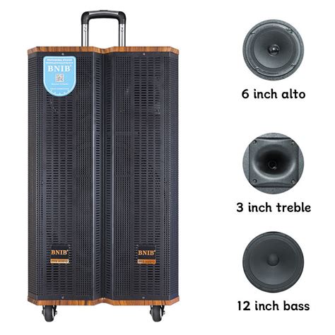 12 Inch Super Bass Portable Trolley Speaker Subwoofer Rechargeable With