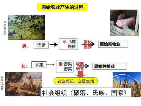 初中历史人教部编版七年级上册第二课 原始农耕生活教学演示课件ppt 教习网课件下载