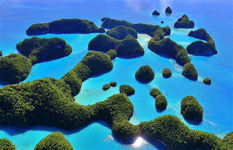 7 Interesting Facts About Micronesia