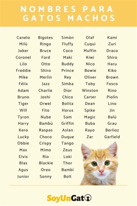 The 100 Most Popular Cat Names Of All Time Artofit