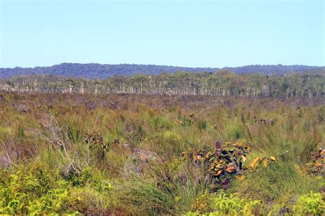 Great Sandy Desert Australias Physical Environment