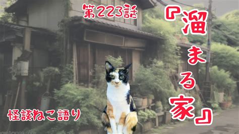 【怖い話】【猫が語る不思議な話】【猫動画】怪談ねこ語り第223話『溜まる家』 Youtube