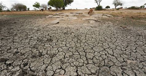 Schlimmste D Rre Seit Jahren Millionen Afrikanern Droht Hunger