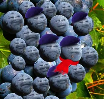 Sour Grapes | Annoying Orange Wiki | FANDOM powered by Wikia