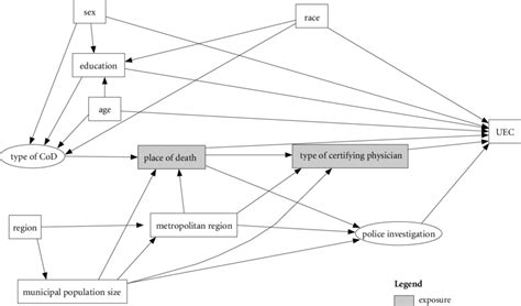 Directed Acyclic Graph Representing Hypotheses About The Relationships