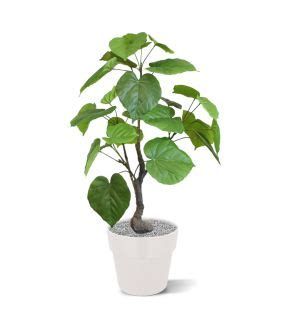 Ficus Exotica Plante Artificielle Deluxe 180 Cm Vert