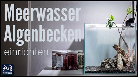 Nano Meerwasser Algen Scape Einrichten Aquaowner Youtube