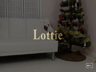 Lottie Naked Santa Arrested WMV Bills Honeys Clips4Sale