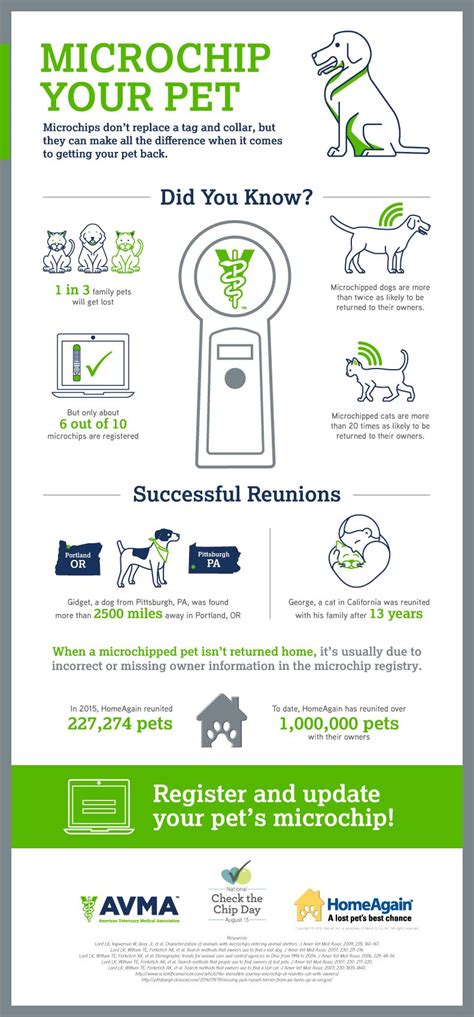 Infographic Microchip Your Pet Dog Infographic Pet Identification Pets