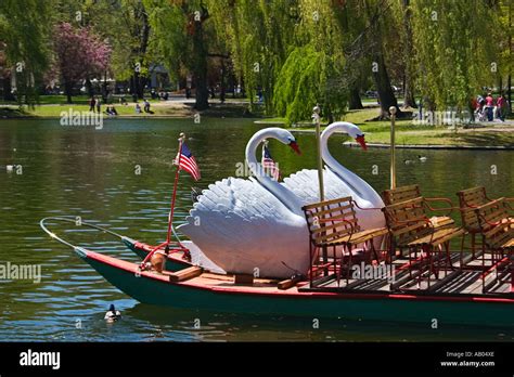 Swan Boats Hi Res Stock Photography And Images Alamy