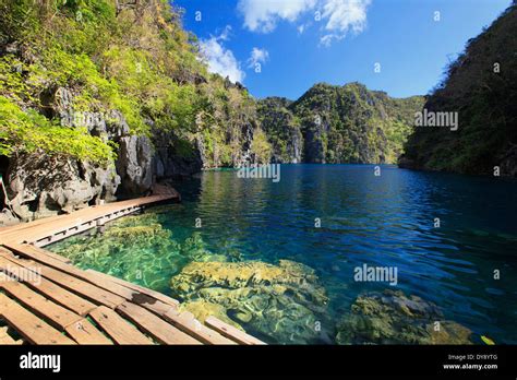 Philippines, Palawan, Coron Island, Kayangan Lake Stock Photo - Alamy