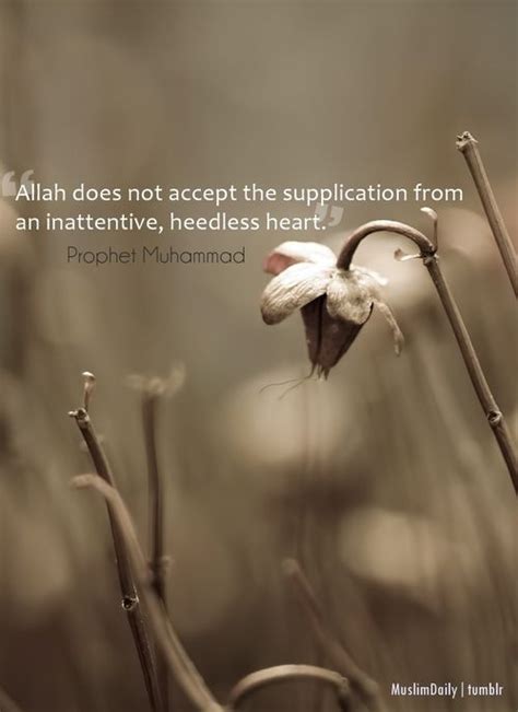 1000 Images About Hadith Sunnah On Pinterest