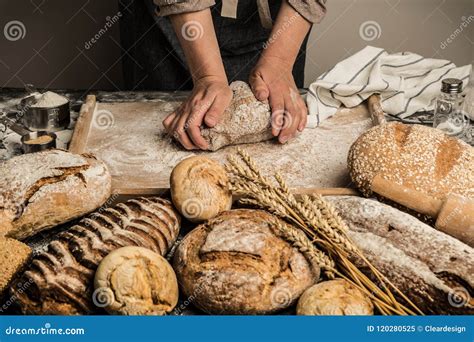 Bakery Baker S Hands Kneading Raw Dough Making Bread Stock Image