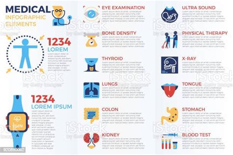 의료 인포그래픽 요소 개념에 대한 스톡 벡터 아트 및 기타 이미지 개념 건강 진단 건강관리와 의술 Istock