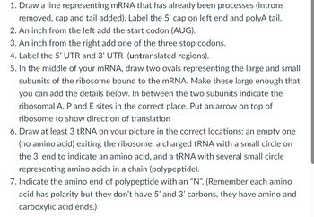 Answered Draw A Line Representing Mrna That Has Already Been