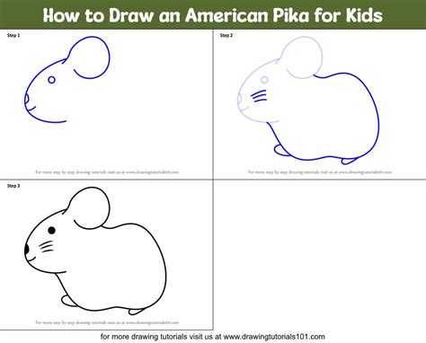 How To Draw An American Pika For Kids Printable Step By Step Drawing