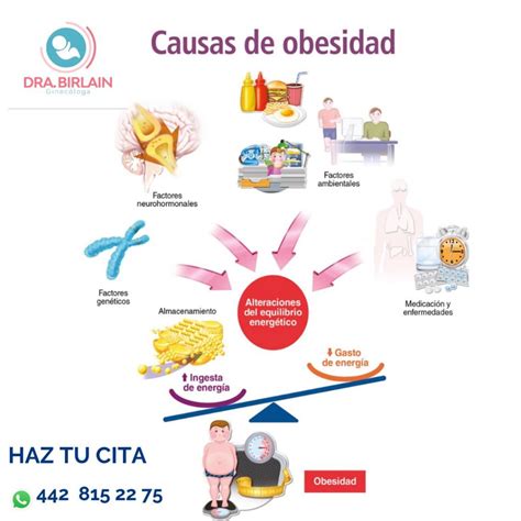 Causas De Obesidad Dra Birlain