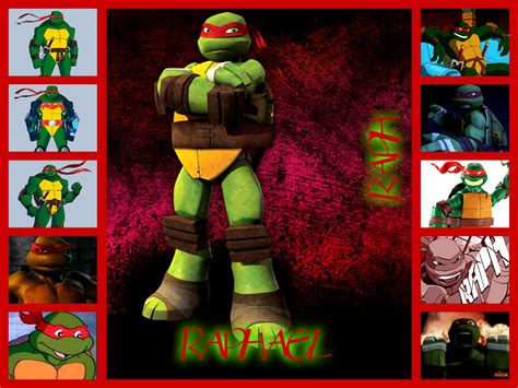 Image Raphael Collage Tmntpedia Fandom Powered By Wikia