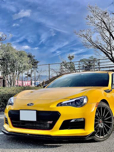 Brz Ts Zc Zn Brz Cartune