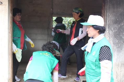 새마을운동 밀양시지회 양지마을서 수해복구 경남신문