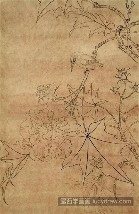 芙蓉花怎么画？有哪些绘画步骤？ 露西学画画