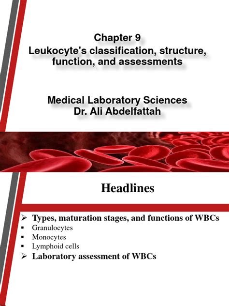 Leukocyte's Classification, Structure, Function, and Assessment | PDF ...