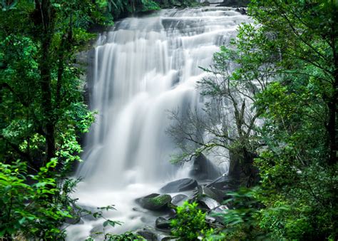 Screensaver Waterfalls Tropical Rainforest