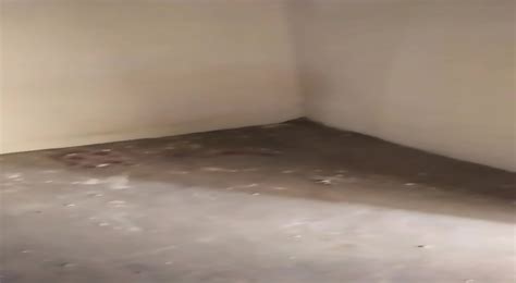 Indian Gangbang Sex Mms Leaked