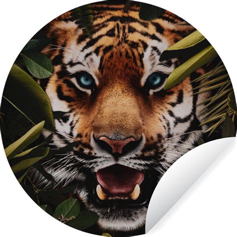 Wallcircle Stickers Muraux Cercle Papier Peint Tigre Jungle