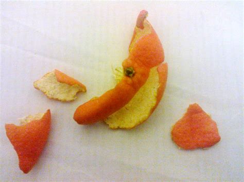 WP_000225 | 10 Steps to being Happier Everyday