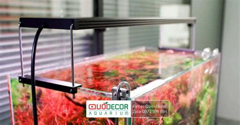 Đèn Chihiros WRGB 2 Pro 80cm – Thuỷ sinh Quới Decor