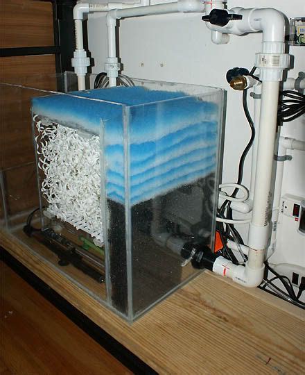 Small Aquarium Overflow - Wese Aquarium Fish