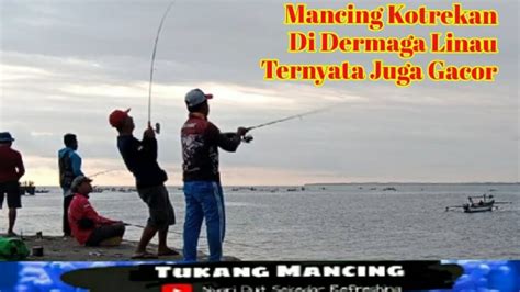 Mancing Kotrekan Di Dermaga Linau Ternyata Juga Gacor