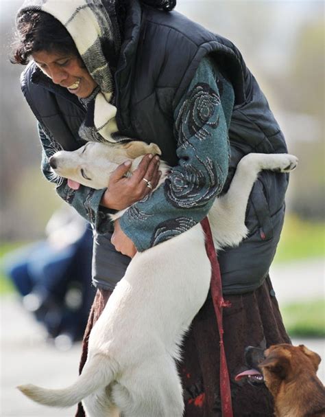 26 Dogs Hugging Their Humans | Dogs hugging, Animal hugs, International dog day